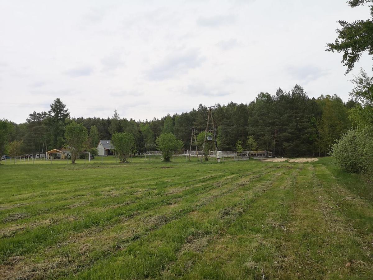 Agroturystyka Plener Miedzichowo 外观 照片