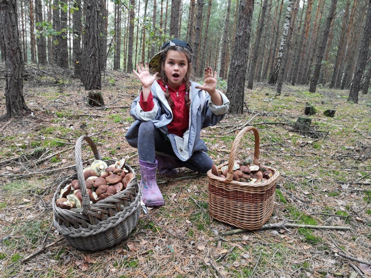 Agroturystyka Plener Miedzichowo 外观 照片